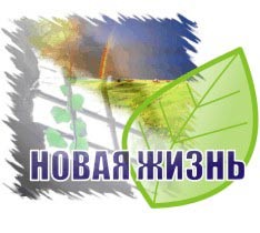 Новая Жизнь